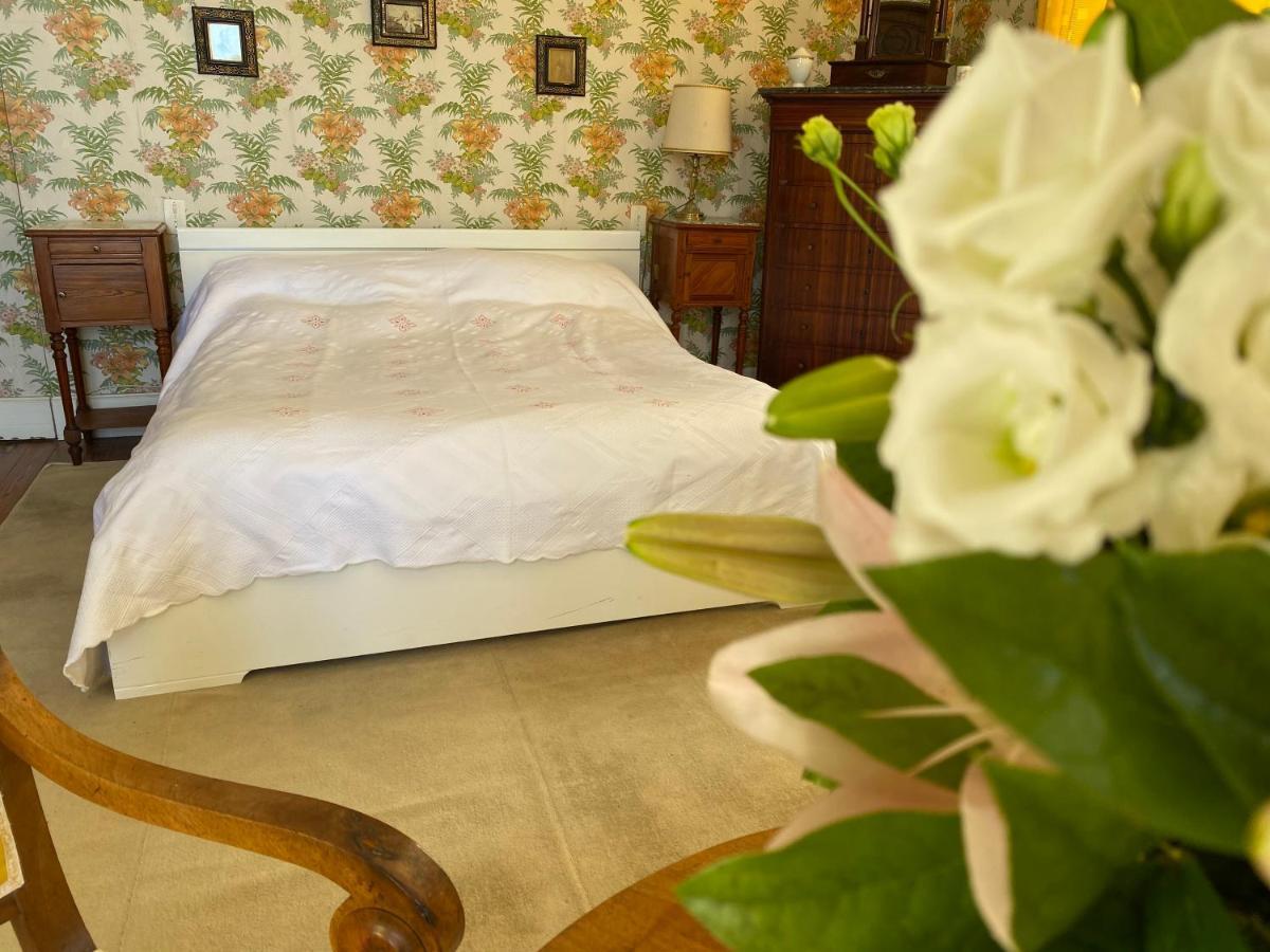 Maison D'Hotes - Villa Les Pins - Lempaut المظهر الخارجي الصورة